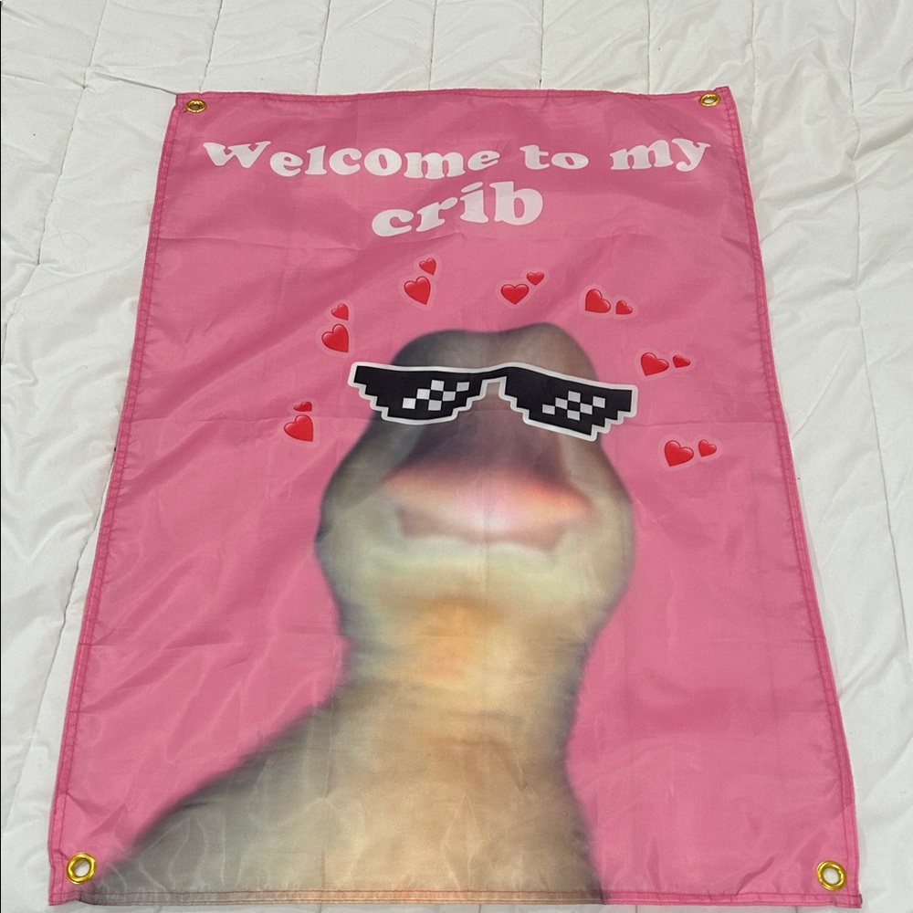 Amazon Pink "Welcome to My Crib" Duck Wall Banner